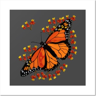 Monarch Butterfly Posters and Art